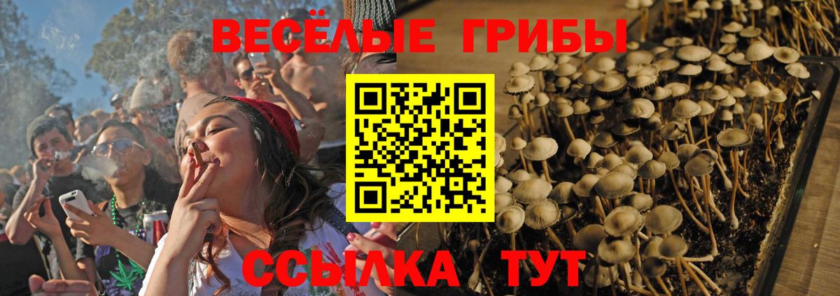 Прохладный  Галлюциногенные грибы прущие грибы  Псилоцибиновые грибы GOLDEN TEACHER  Вход с VPN 